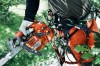 Sprz�t dla arborysty - chirurga drzew