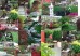 Podsumowanie 118 Wiosennej Wystawy Kwiat�w i Ogrod�w GardenExpo