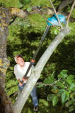 Przycinanie roślin dla zapominalskich